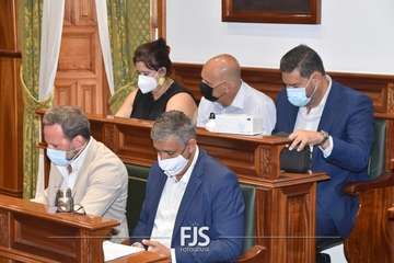 Pleno ordinario de julio de 2022/Francisco Javier Santana.